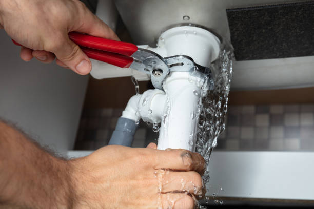 Best Carpet water damage restoration  in Rice Lake, WI
