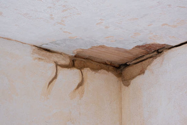Carpet water damage restoration in Rice Lake, WI